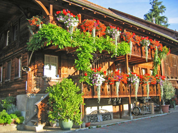 Bed & Breakfast bei Liechti Blumen